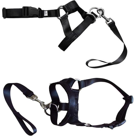 Black Dog Training Head Collar Halter Stop Pulling Training Tool Harness Strap Leader - XXL