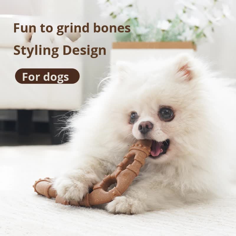 Glasses Durable Dog Chew Toy for Dental Health - Tough, Non-Toxic Teething Bone for Small & Medium Dogs