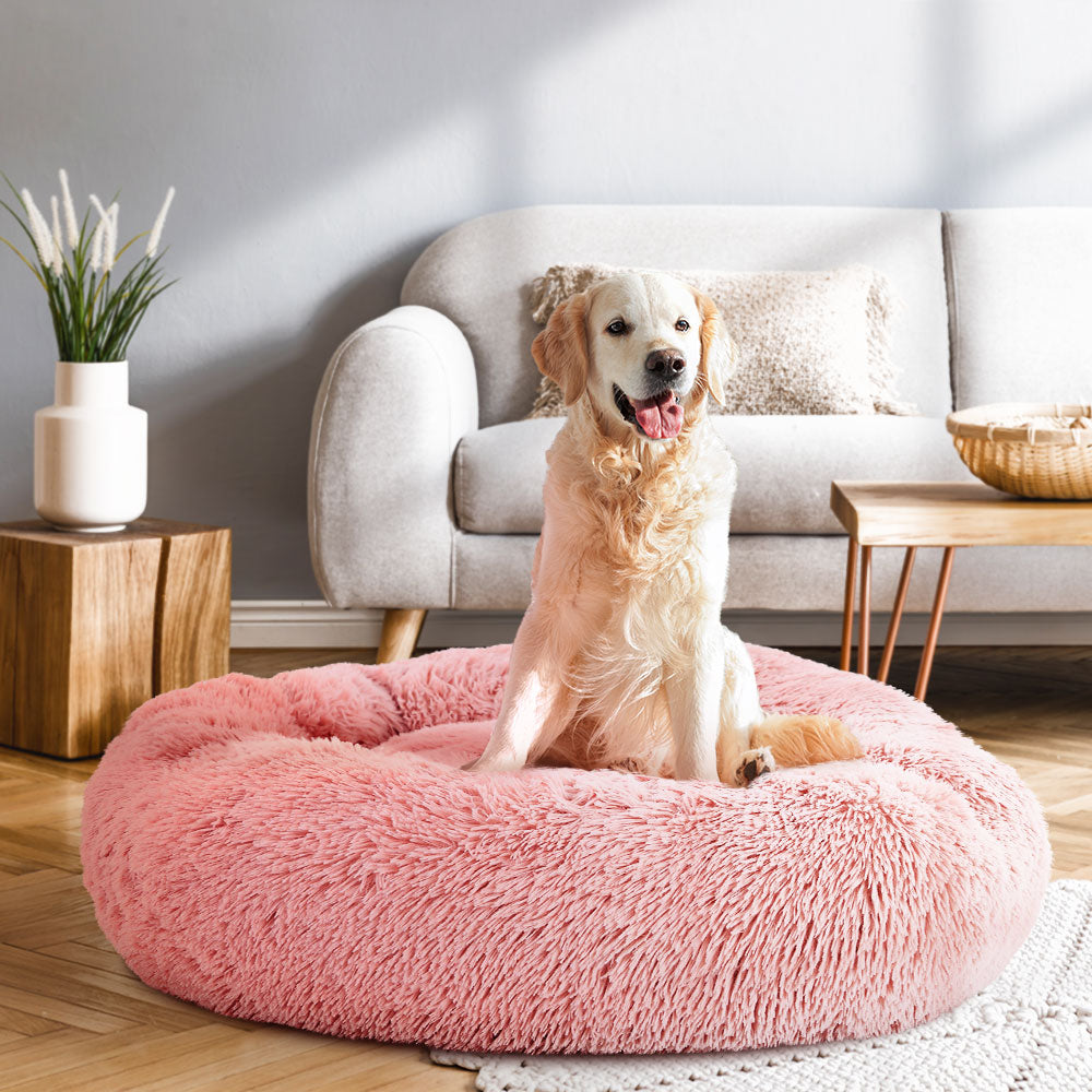 Dog sitting on a fluffy pink pet bed in a living room.