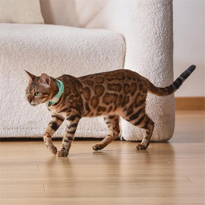 Automatic Laser Cat Collar Toy: Rechargeable Interactive Red Light Toy for Australian Indoor Cats & Kittens