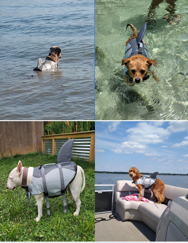 Pet products Dog Life Jacket, Cute Shark Dog Life Vest for Swimming Boating with Superior Buoyancy and Rescue Handle, Adjustable Puppy Floating Swim Vest for Small Medium Large Dogs(XS)