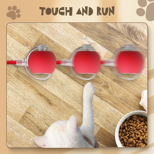 2 pcs 360° Smart Automatic Rolling Pet Ball, Rechargeable Irregular Movement for Cats & Dogs, Red