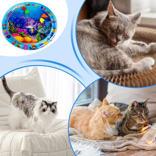 Cat and Dog Sensory Water Mat Play Mat Thick Sensory Water Play Mat Cat Toys for Bored Indoor Cats Interactive Toys for Cats A Type 65cm