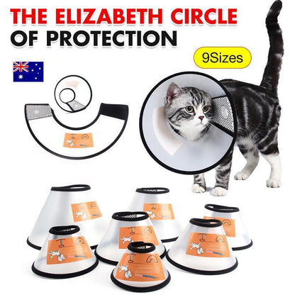 Pet Cat Dog Protective Cone Collar Elizabethan E Collar Wound Healing Recovery - 2