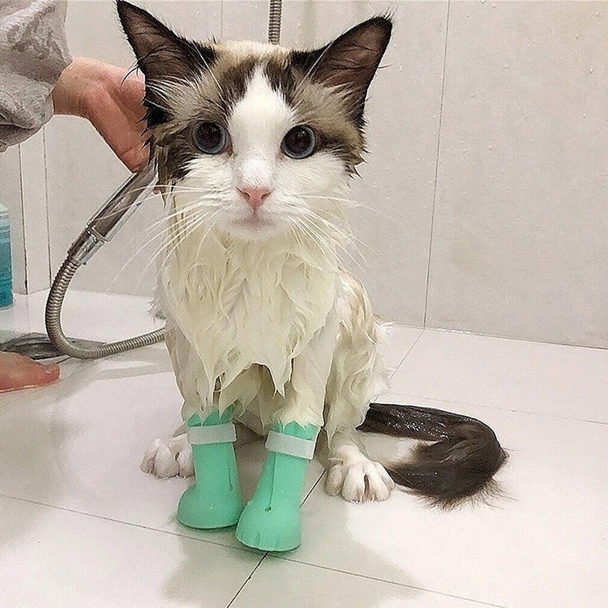 4pcs Cat Bathing Grooming Anti-Scratch Silicone Pet Socks for Bathing Feeding - Pink