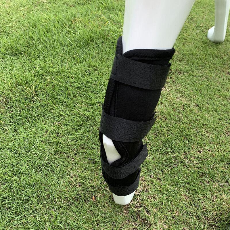 S/M/L/Xl Pet Dog Knee Support Brace Leg Hock Front Back Protector Compression - M