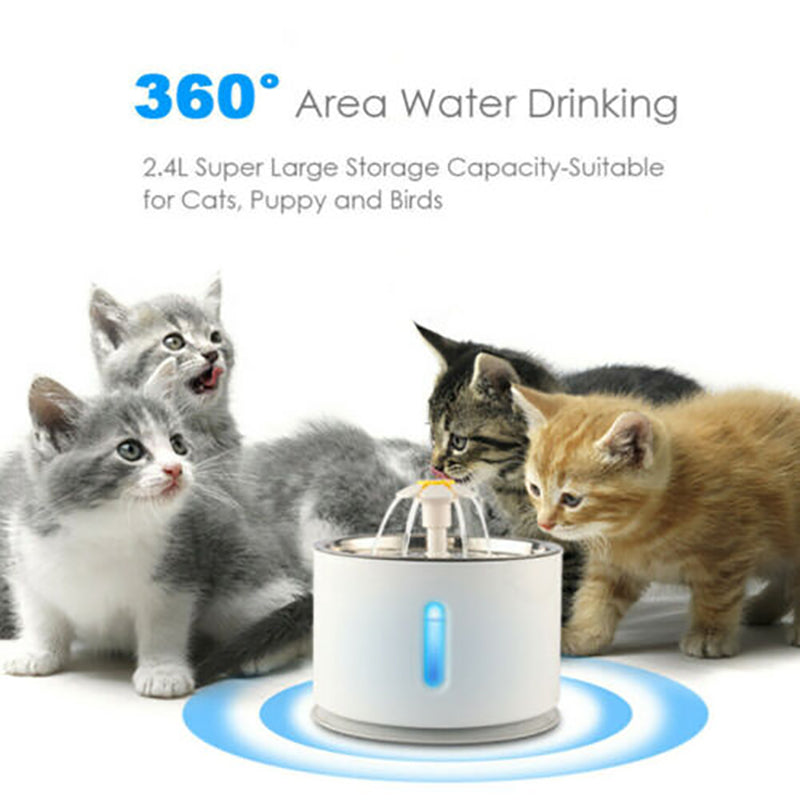 Pet water fountain with cats and kittens around on a white background