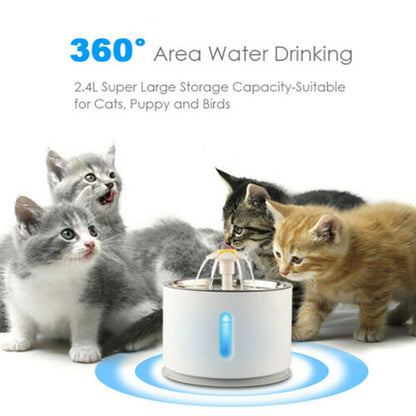Pet water fountain with cats and kittens around on a white background