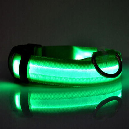 XL Size USB Rechargeable LED Dog Collar Nylon Glow Flashing Light Up Gear - Orange