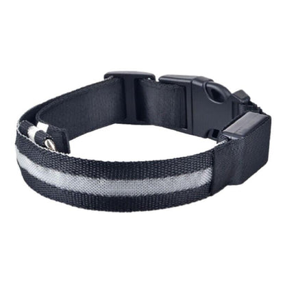 XL Size USB Rechargeable LED Dog Collar Nylon Glow Flashing Light Up Gear - Orange
