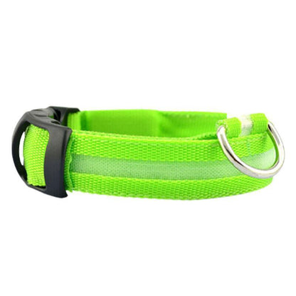 XL Size USB Rechargeable LED Dog Collar Nylon Glow Flashing Light Up Gear - Orange