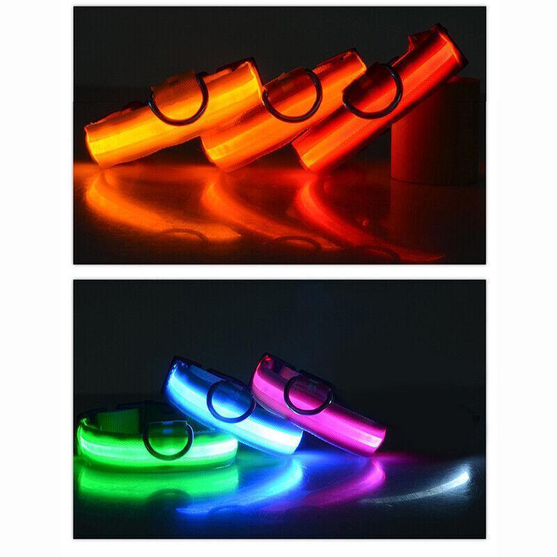 M Size USB Rechargeable LED Dog Collar Nylon Glow Flashing Light Up Pet Collar - Yellow