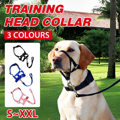Black Dog Training Head Collar Halter Stop Pulling Training Tool Harness Strap Leader - M