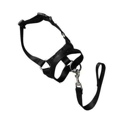 Black Dog Training Head Collar Halter Stop Pulling Training Tool Harness Strap Leader - M