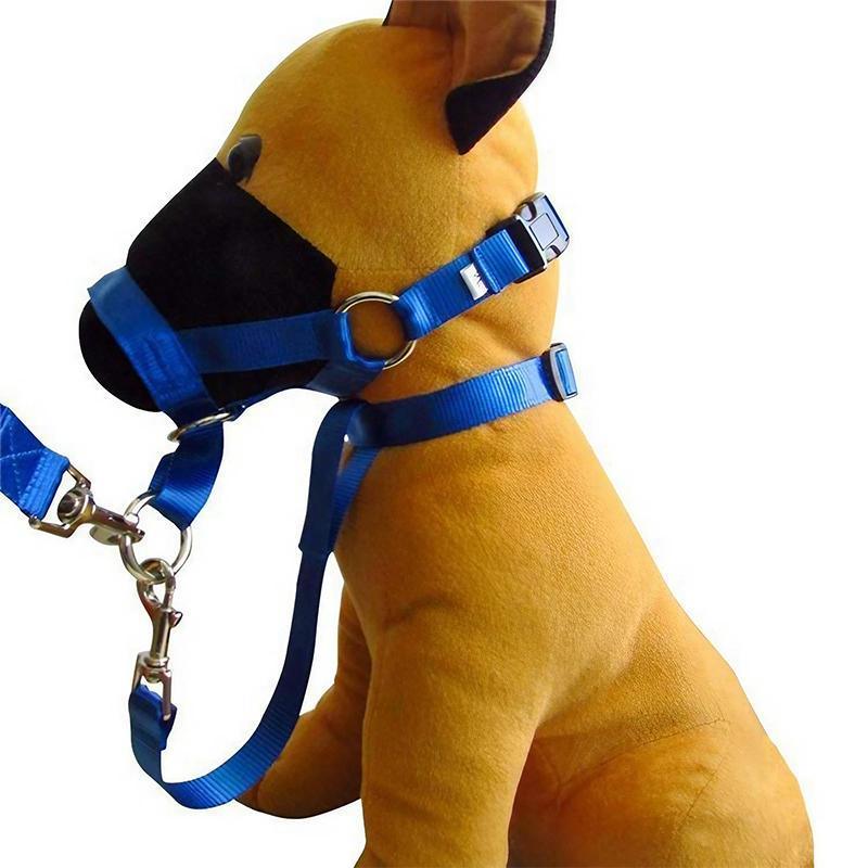 Black Dog Training Head Collar Halter Stop Pulling Training Tool Harness Strap Leader - XXL