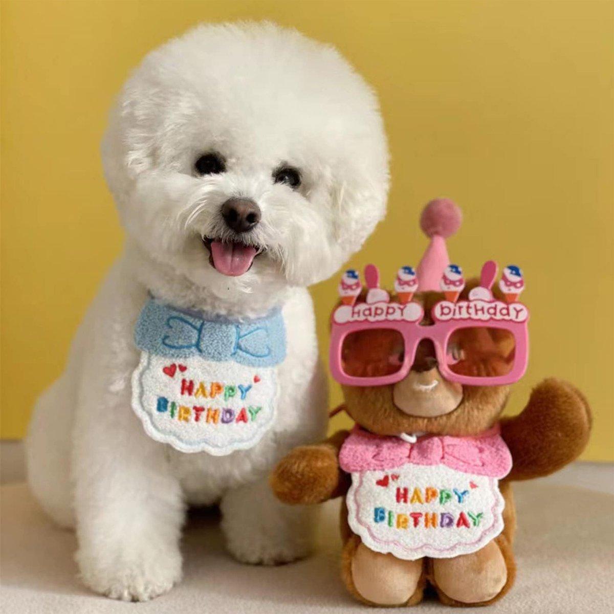 Pet Birthday Dog Cat Bib Scarf Hat Accessory Dogs Cats Celebration - Pink