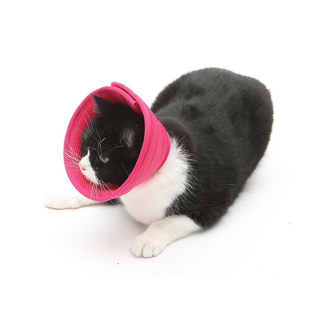 Elizabethan Collar Anti Licking Biting Pet Collar for Cats and Dogs Recovery Use - Rose Red-Size4