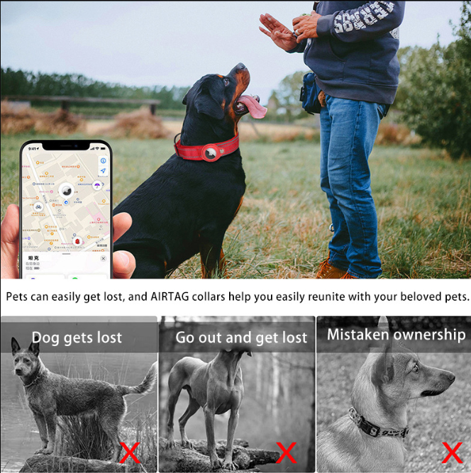 XL Purple Secure Nylon Dog Collar with Built-in Apple AirTag (not included) Holder Case - Pet Tracker Accessory