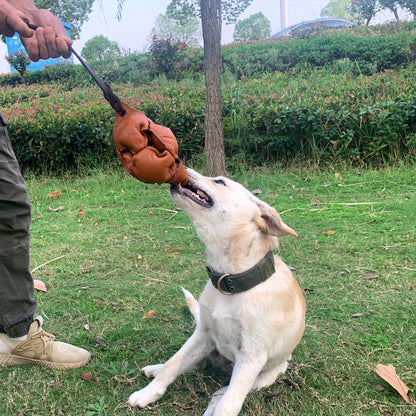 Brown Durable Leather Dog Training Ball with Loop Handle - Interactive Bite & Tug Toy for Playful Pups