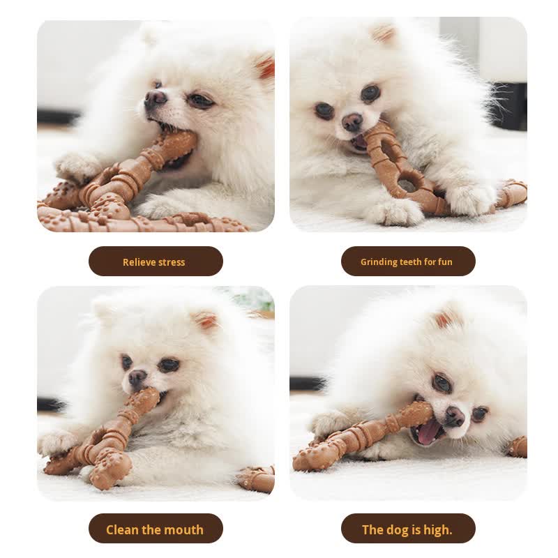 Glasses Durable Dog Chew Toy for Dental Health - Tough, Non-Toxic Teething Bone for Small & Medium Dogs